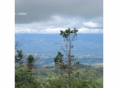 VENTA DE FINCA EN SAN ISIDRO DEL GENERAL EN PEREZ ZELEDON - Imagen 4