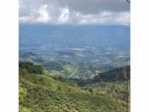 VENTA DE FINCA EN SAN ISIDRO DEL GENERAL EN PEREZ ZELEDON - Imagen 2