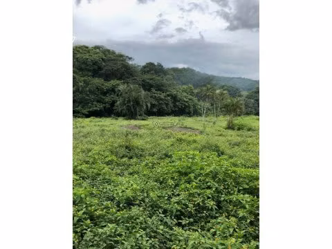 PROPIEDAD EN VENTA EN LA GUACIMA - Imagen 3
