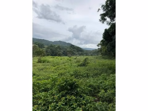 PROPIEDAD EN VENTA EN LA GUACIMA - Imagen 4