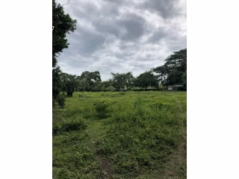 PROPIEDAD EN VENTA EN LA GUACIMA - Imagen 2
