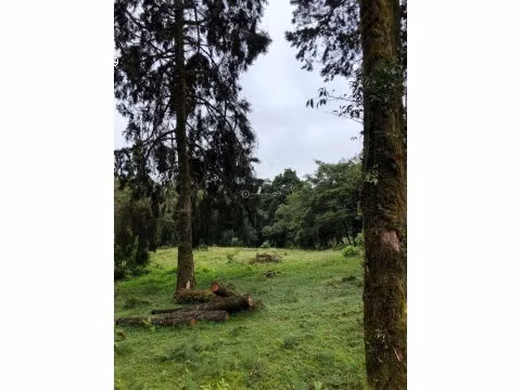 Hermoso lote en medio de la naturaleza en San Isidro Heredia | L171 - Imagen 3