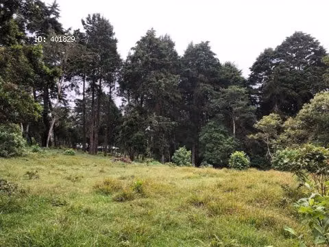 Hermoso lote en medio de la naturaleza en San Isidro Heredia | L171 - Imagen 5