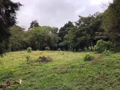 Hermoso lote en medio de la naturaleza en San Isidro Heredia | L171 - Imagen 4