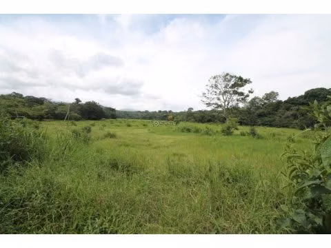 VENTA DE FINCA EN ALAJUELA