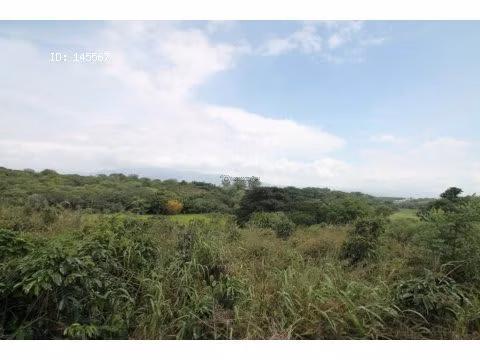 VENTA DE FINCA EN ALAJUELA - Imagen 8