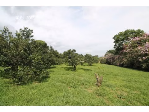 VENTA DE FINCA EN ALAJUELA - Imagen 2