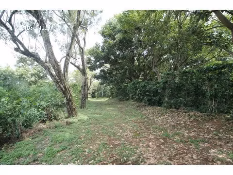 VENTA DE FINCA EN ALAJUELA - Imagen 6