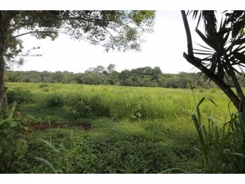 VENTA DE FINCA EN ALAJUELA - Imagen 3