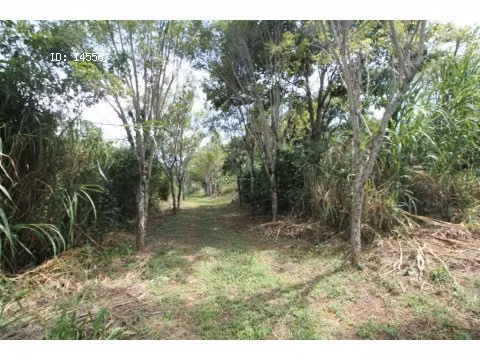VENTA DE FINCA EN ALAJUELA - Imagen 4