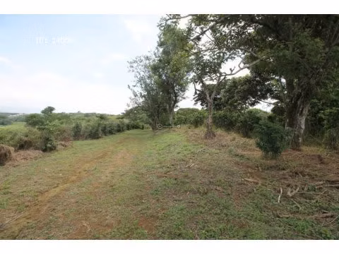 VENTA DE FINCA EN ALAJUELA - Imagen 9