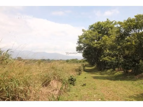 VENTA DE FINCA EN ALAJUELA - Imagen 5