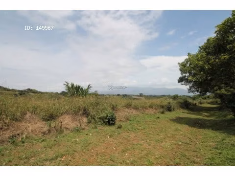 VENTA DE FINCA EN ALAJUELA - Imagen 7