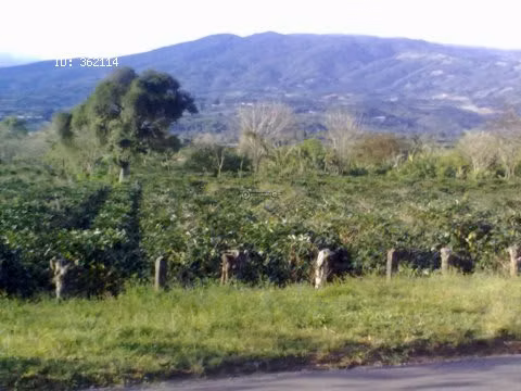 VENTA PROPIEDAD - VISTA VOLCÁN POÁS - ALAJUELA - para desarrollar - Imagen 3