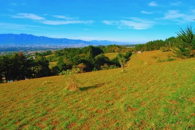 VENDO HERMOSA FINCA EN CONCEPCIÓN DE SAN ISIDRO DE HEREDIA - Imagen 8