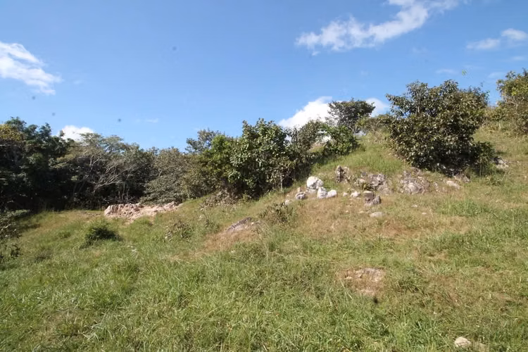 VENTA DE FINCA EN PUNTARENAS