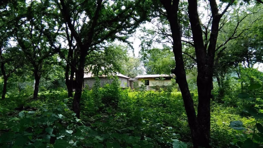 FINCA EN VENTA – PUERTO SOLEY, LA CRUZ DE GUANACASTE - Imagen 8