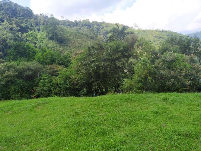 Venta propiedad con construcción en Cartago Sabanilla.
