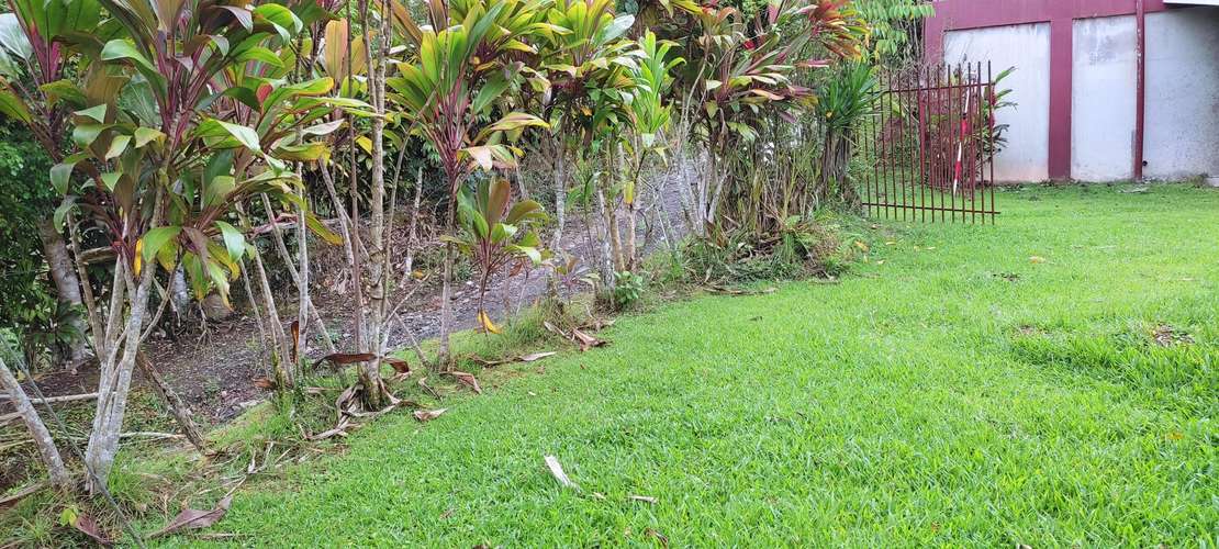 Venta propiedad con construcción en Cartago Sabanilla.