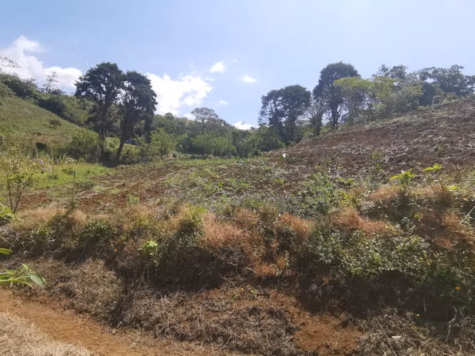 FINCA EN VENTA EN CONCEPCIÓN DE SAN RAMÓN - Imagen 9