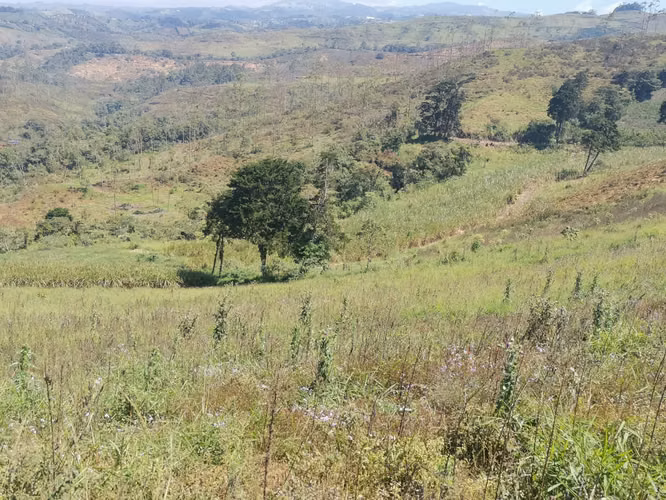 FINCA EN VENTA EN CONCEPCIÓN DE SAN RAMÓN - Imagen 5