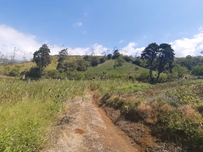 FINCA EN VENTA EN CONCEPCIÓN DE SAN RAMÓN - Imagen 10