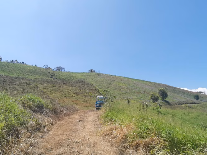 FINCA EN VENTA EN CONCEPCIÓN DE SAN RAMÓN - Imagen 8