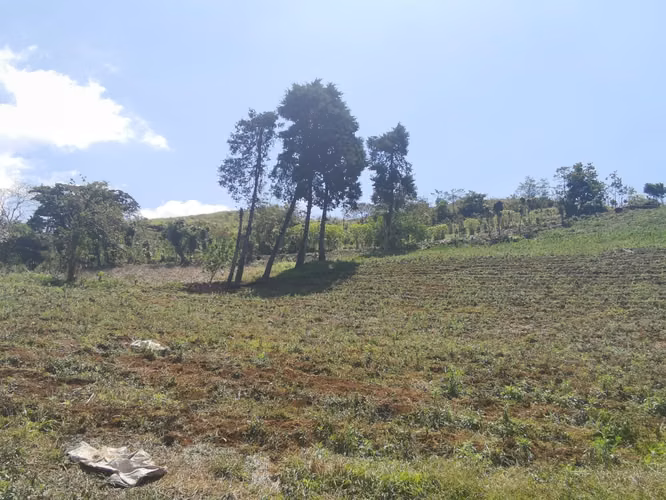 FINCA EN VENTA EN CONCEPCIÓN DE SAN RAMÓN - Imagen 3
