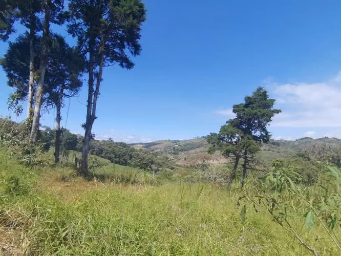FINCA EN VENTA EN CONCEPCIÓN DE SAN RAMÓN - Imagen 4