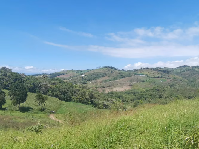 FINCA EN VENTA EN CONCEPCIÓN DE SAN RAMÓN - Imagen 7