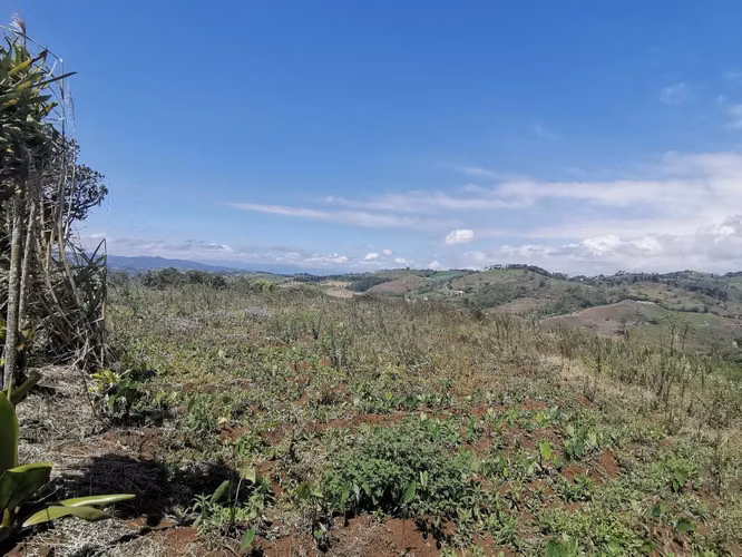 FINCA EN VENTA EN CONCEPCIÓN DE SAN RAMÓN - Imagen 2