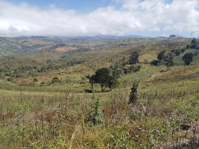 FINCA EN VENTA EN CONCEPCIÓN DE SAN RAMÓN - Imagen 6