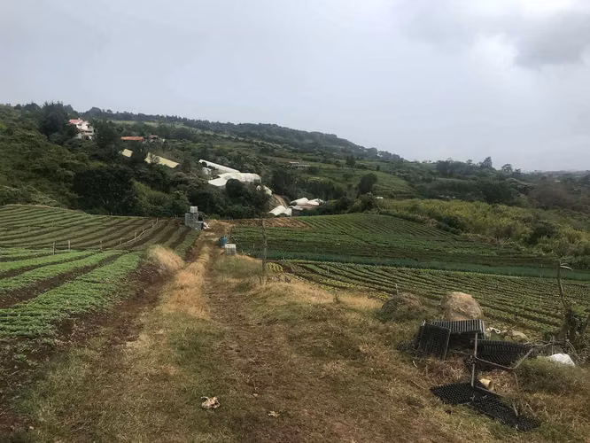 Terreno Agrícola en Cote de Cartago (AD)