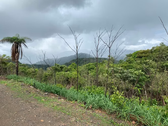 Se venden terreno en Capulín, Tárcoles, Garabito, Puntarenas (AD)