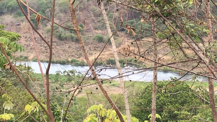 Se venden terreno en Capulín, Tárcoles, Garabito, Puntarenas (AD)