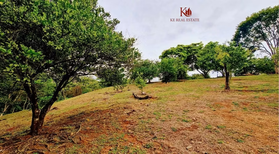 VENTA QUINTA OROTINA, ALAJUELA - Imagen 4