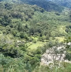 Venta de finca en Turrialba, Paso Marcos