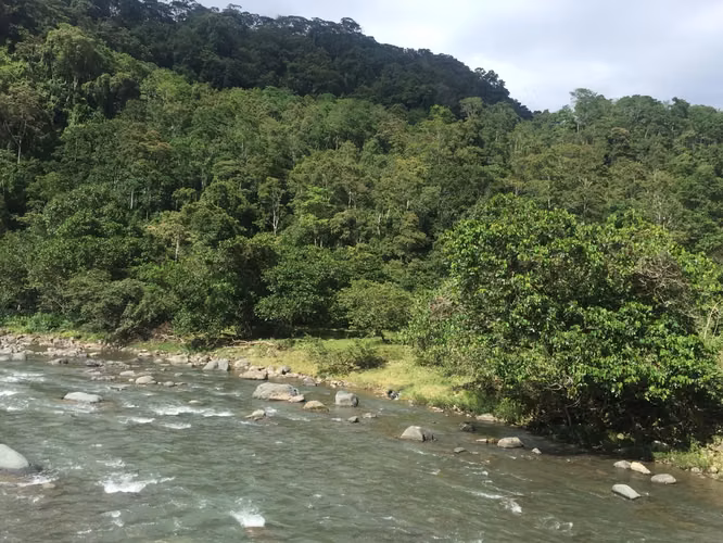 Venta de finca en Turrialba, Paso Marcos