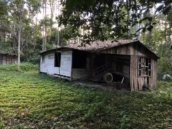 Venta de finca en Turrialba, Paso Marcos
