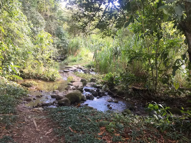 Venta de finca en Turrialba, Paso Marcos