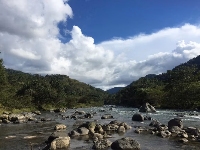 Venta de finca en Turrialba, Paso Marcos