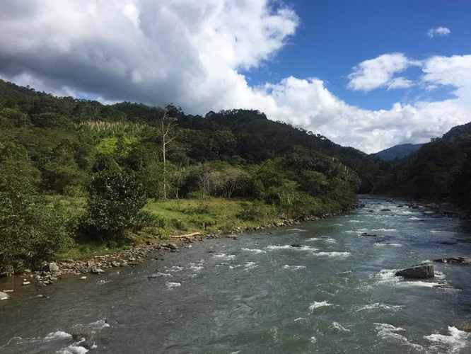 Venta de finca en Turrialba, Paso Marcos