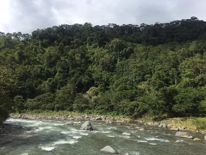 Venta de finca en Turrialba, Paso Marcos