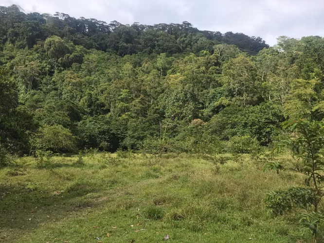 Venta de finca en Turrialba, Paso Marcos