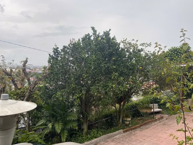 Venta propiedad c/casa y aptos de alquiler, La Colina, Curridabat (AD) - Imagen 9