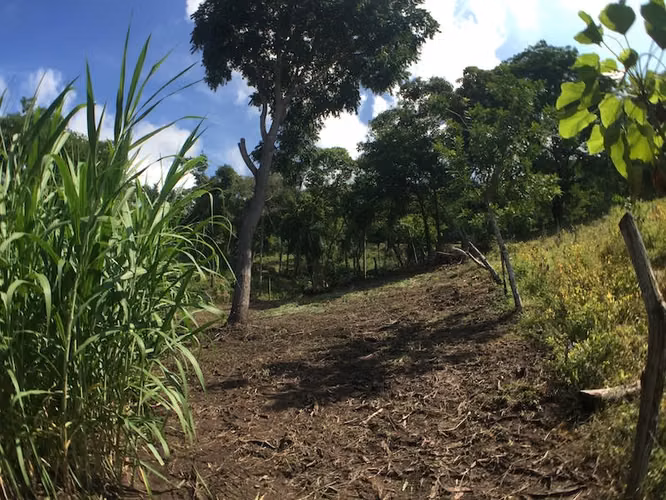 Lote en Zona Industrial- Esparza - Imagen 12