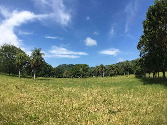 Lote en Zona Industrial- Esparza - Imagen 10