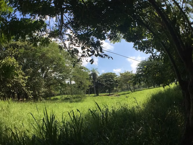 Lote en Zona Industrial- Esparza - Imagen 14