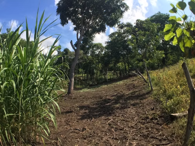Lote en Zona Industrial- Esparza - Imagen 13