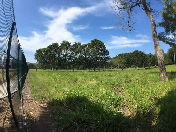 Lote en Zona Industrial- Esparza - Imagen 3
